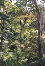 121.jpg
